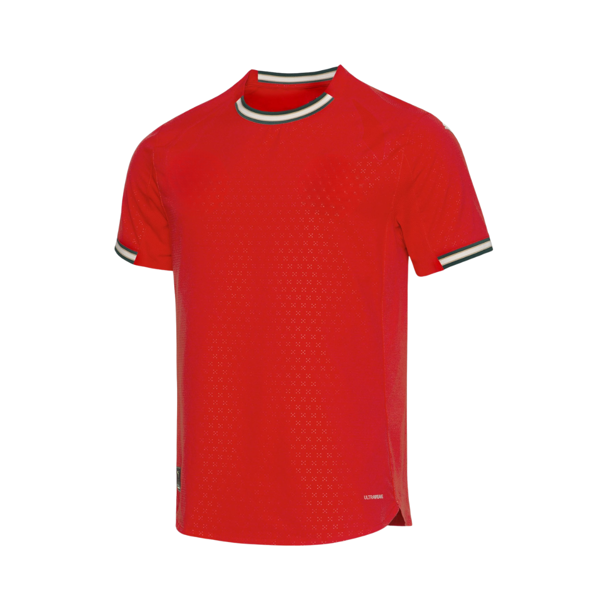Camisola Principal Authentic 2025